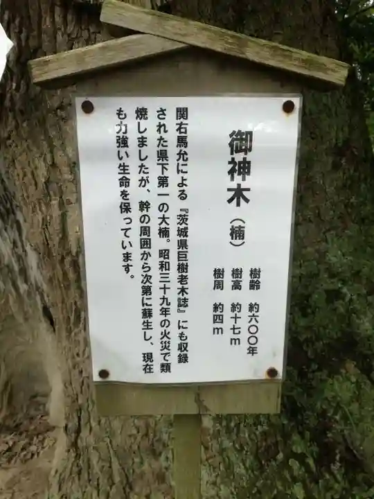 常陸國總社宮のその他建物