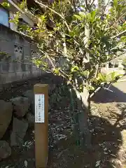 住吉四所神社(埼玉県)