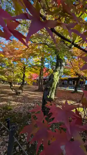 東福禅寺（東福寺）(京都府)