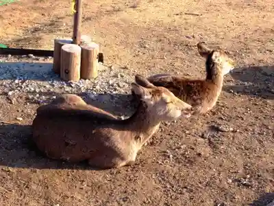 養食山 常泉寺(神奈川県)
