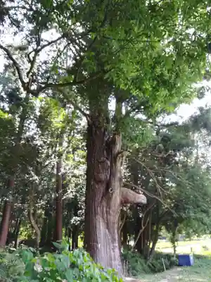 粟鹿神社(兵庫県)