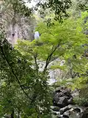 大馬神社(三重県)