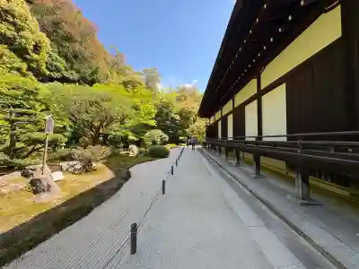知恩院の{uncategorized: "未分類", other: "その他", undefined: "問題あり", building: "その他建物", grave: "お墓", sacred_gate: "鳥居", guardian: "狛犬", statue: "像", buddha: "仏像", history: "歴史", nature: "自然", garden: "庭園", animal: "動物", pagoda: "塔", temizu: "手水舎", mountain_gate: "山門・神門", sanctuary: "本殿・本堂", subordinate: "末社・摂社", art: "芸術", scenery: "景色", jizo: "地蔵", ema: "絵馬", goshuin: "御朱印", omikuji: "おみくじ", items: "授与品その他", amulet: "お守り", goshuincho: "御朱印帳", eats: "食事", festival: "お祭り", votive_dance: "神楽", shichigosan: "七五三参", wedding: "結婚式", experience: "体験その他", initially: "初詣", around: "周辺", anti_infection: "感染症対策"}