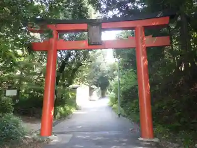 竹中稲荷神社（吉田神社末社）の鳥居