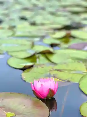 倶梨迦羅神社(長野県)