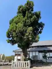 村國神社(岐阜県)