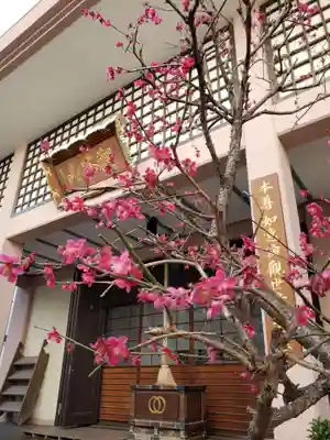 聖輪寺の本殿・本堂