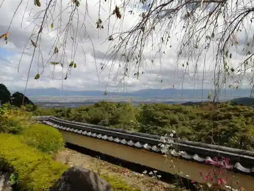 善峯寺の景色