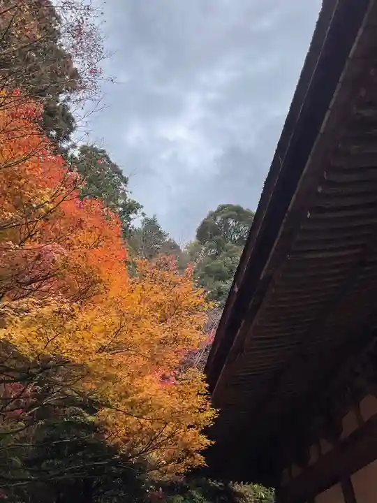 金剛輪寺の自然