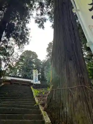 大宮温泉神社(栃木県)
