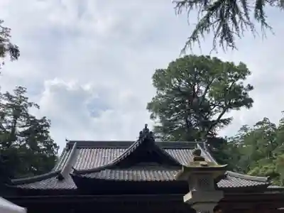 大宝八幡宮の本殿・本堂