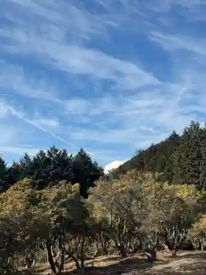 出雲大社相模分祠(神奈川県)
