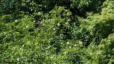 東林院(京都府)