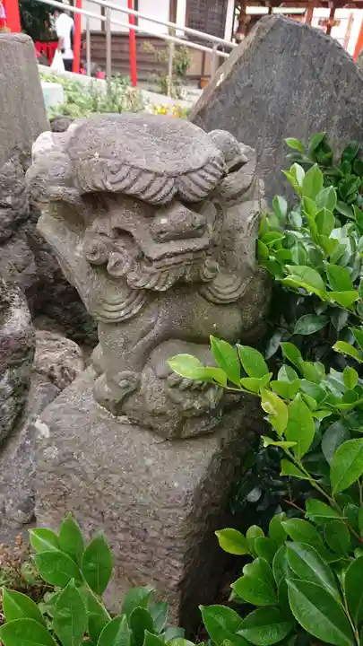 於菊稲荷神社の狛犬
