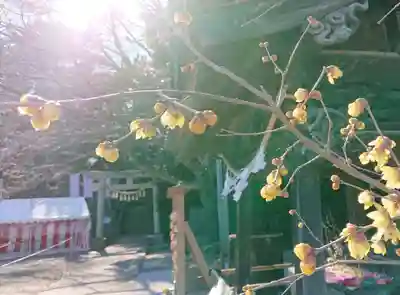 前玉神社(埼玉県)
