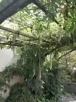 西方山極楽寺(岐阜県)