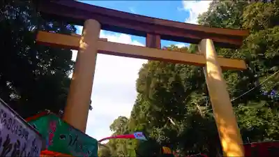 橿原神宮の鳥居