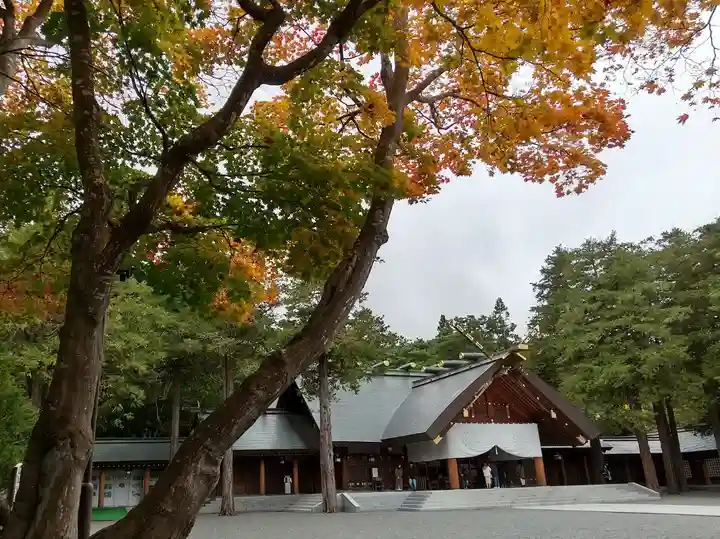 北海道神宮の本殿・本堂