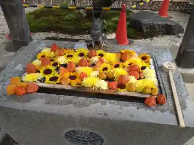長良神社(群馬県)
