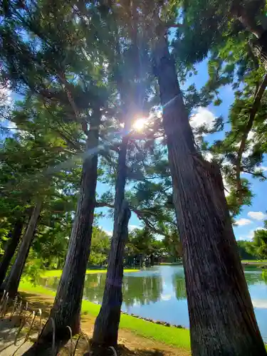 毛越寺(岩手県)