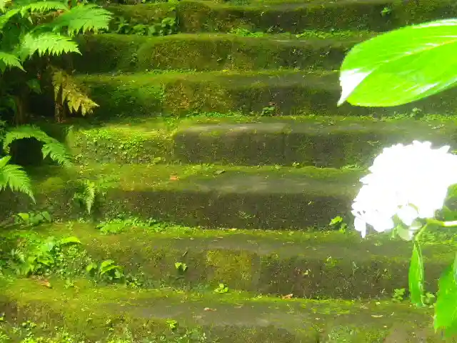 妙法寺のその他建物