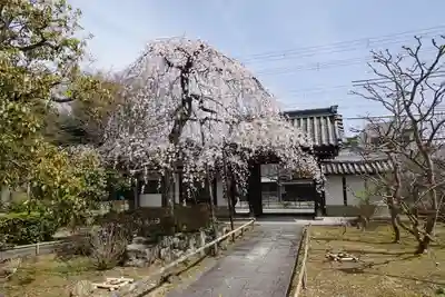 上品蓮台寺の山門・神門