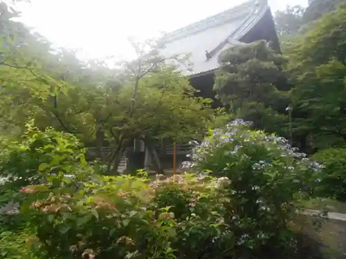 妙本寺の庭園