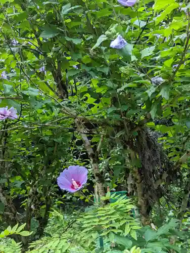 地蔵寺(京都府)