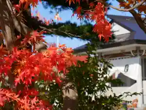 極楽山 浄土寺(北海道)(2022年11月05日(土) 22時04分33秒投稿)