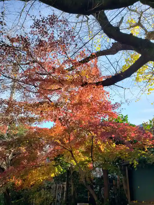 寶泉寺(宝泉寺)(東京都)