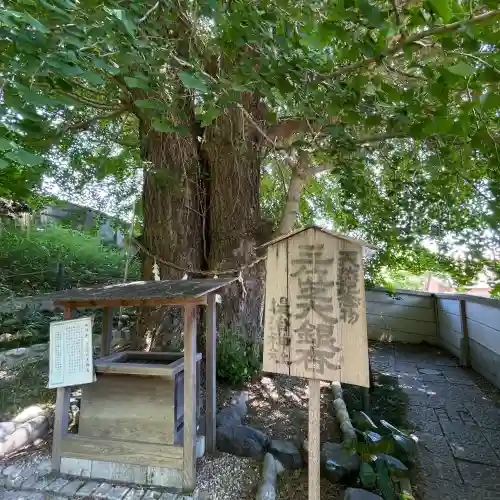 堤治神社の{uncategorized: "未分類", other: "その他", undefined: "問題あり", building: "その他建物", grave: "お墓", sacred_gate: "鳥居", guardian: "狛犬", statue: "像", buddha: "仏像", history: "歴史", nature: "自然", garden: "庭園", animal: "動物", pagoda: "塔", temizu: "手水舎", mountain_gate: "山門・神門", sanctuary: "本殿・本堂", subordinate: "末社・摂社", art: "芸術", scenery: "景色", jizo: "地蔵", ema: "絵馬", goshuin: "御朱印", omikuji: "おみくじ", items: "授与品その他", amulet: "お守り", goshuincho: "御朱印帳", eats: "食事", festival: "お祭り", votive_dance: "神楽", shichigosan: "七五三参", wedding: "結婚式", experience: "体験その他", initially: "初詣", around: "周辺", anti_infection: "感染症対策"}