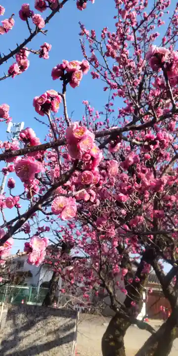 上野天満宮(愛知県)