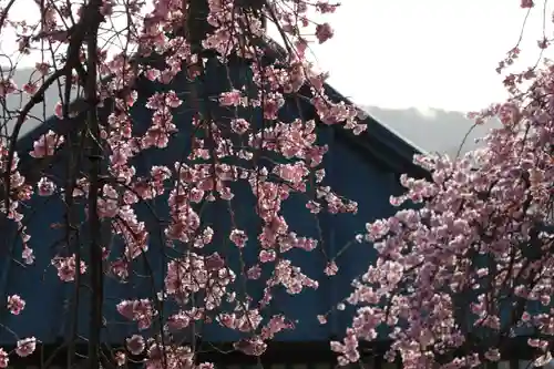 日輪寺の庭園