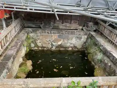 長谷寺(神奈川県)