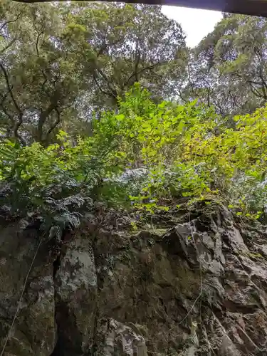 出雲大社(島根県)
