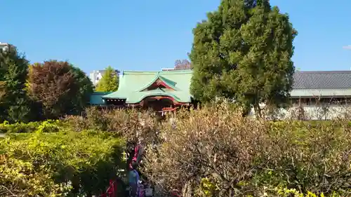 亀戸天神社の庭園