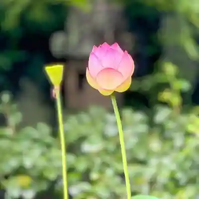 伊勢の国 四天王寺(三重県)