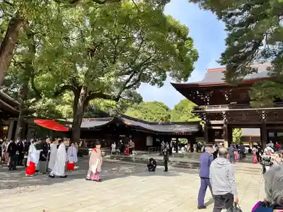 明治神宮(東京都)
