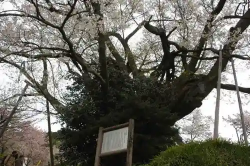 仏隆寺の自然