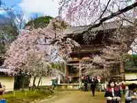 醍醐寺の山門・神門