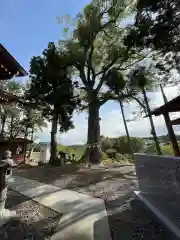 阿久津「田村神社」（郡山市阿久津町）旧社名：伊豆箱根三嶋三社の建物その他