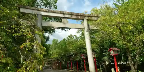 市原稲荷神社の鳥居