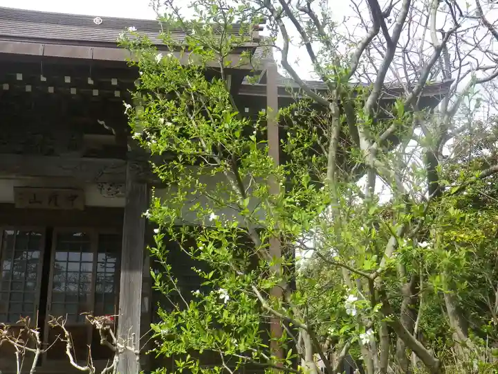 教恩寺のその他建物