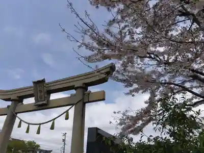 總社 和田八幡宮(福井県)