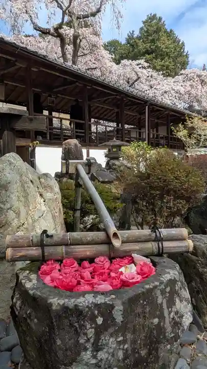 十輪寺(京都府)