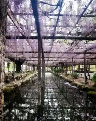 秋葉神社の自然