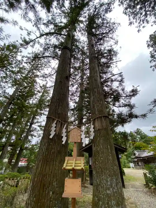 大崎八幡宮(宮城県)