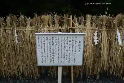 東京大神宮(東京都)