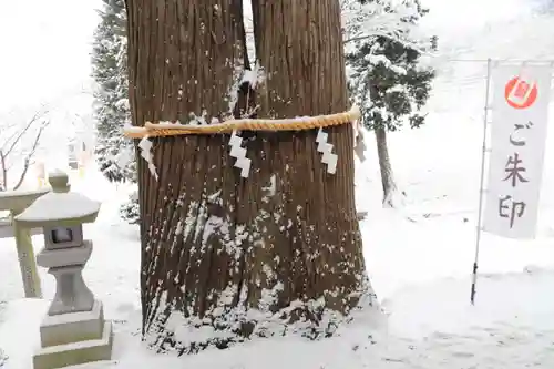 高司神社〜むすびの神の鎮まる社〜の自然