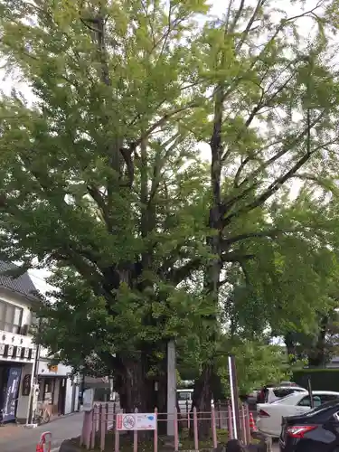 津島神社(愛知県)